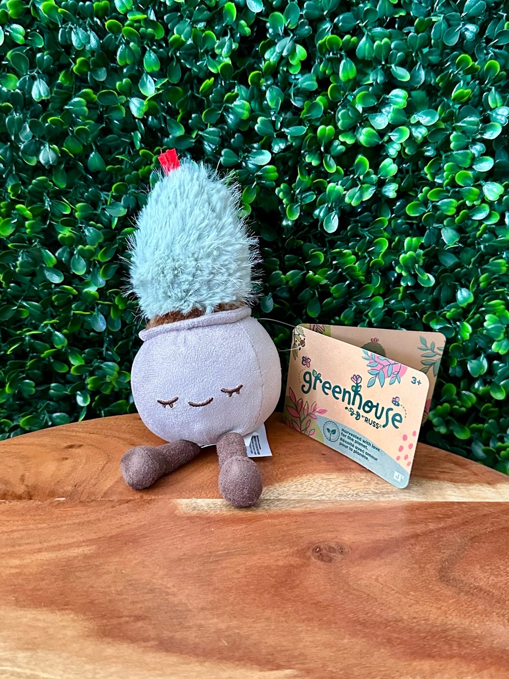 Greenhouse by Russ Mini 6” Plush Cactus Finn